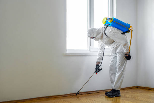Best Flea Control Services  in Greenfield, MN