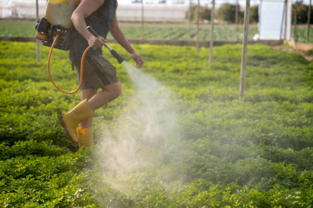 Best Ant Control Services  in Greenfield, MN