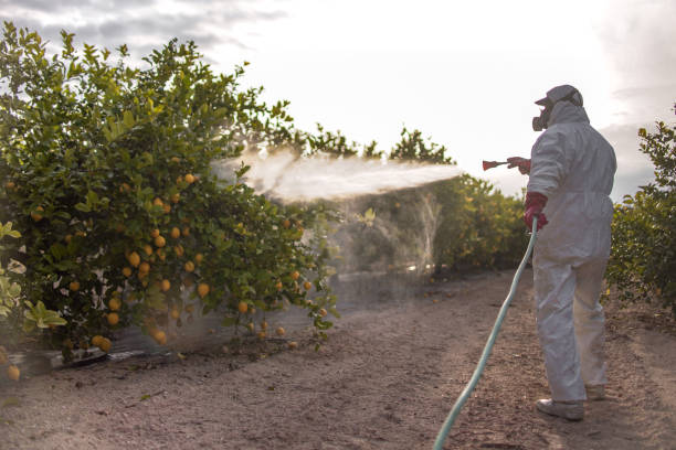Best Pest Control for Restaurants  in Greenfield, MN